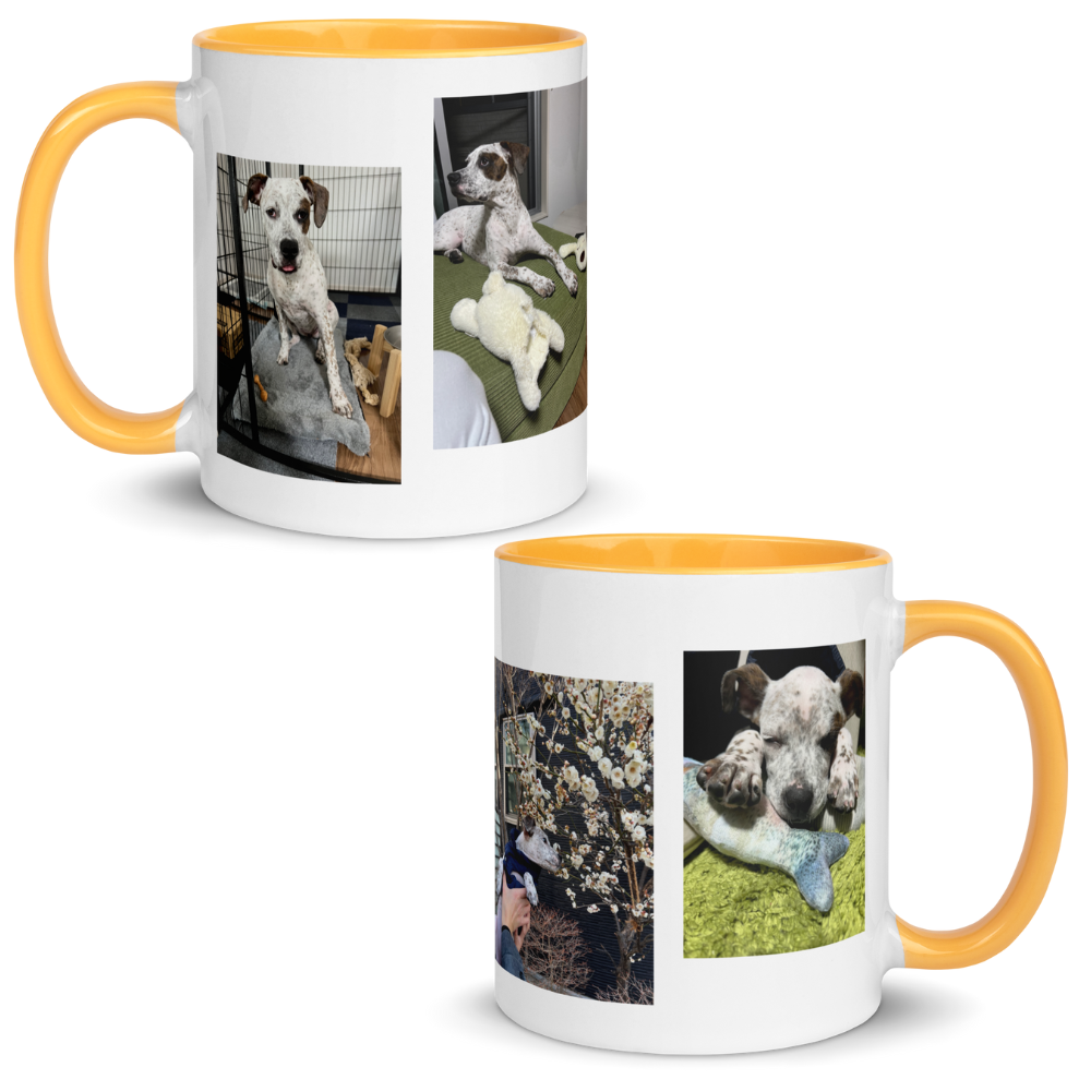 Sui - Mug with Color Inside