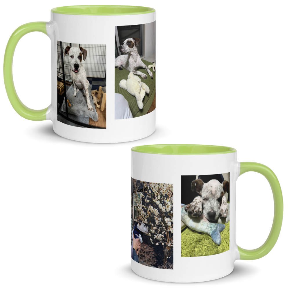 Sui - Mug with Color Inside
