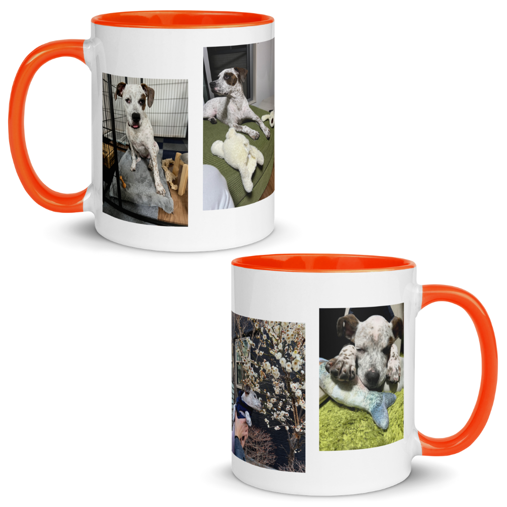Sui - Mug with Color Inside