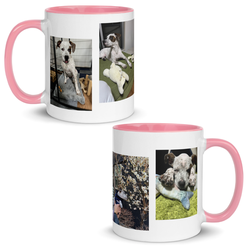 Sui - Mug with Color Inside