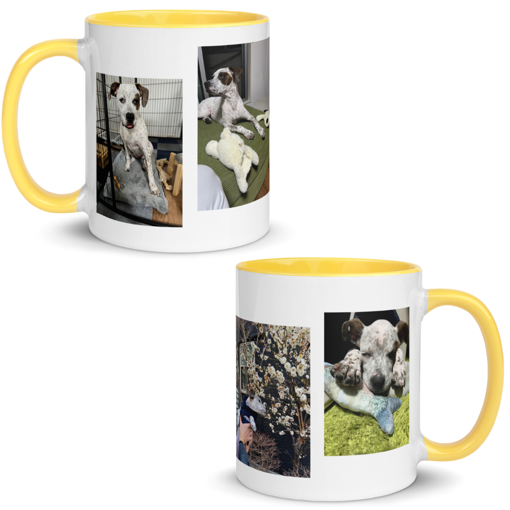 Sui - Mug with Color Inside
