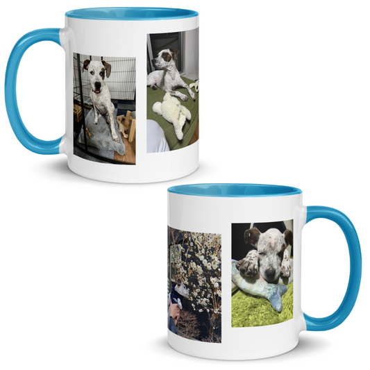 Sui - Mug with Color Inside